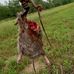 Anthony DiGiovanni - Facebook