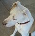 Tony Dillon - Facebook