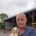 Tony Dillon - @tony.dillon.7921 - Instagram