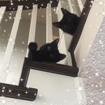 Tony Dillon - @tony.dillon.980 - Instagram