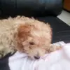 Tony Dobbs - @tony.dobbs8 - TikTok