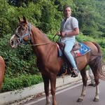 Tony Donato - @falegname79 - Instagram
