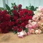 tony dorisca - @tony.dorisca - Instagram