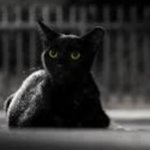 Tony Dorn - @tonydorn8 - Instagram