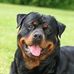 Tony Doss - Facebook