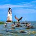 Tony Dowell - Facebook