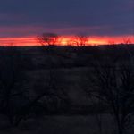 Tony Dowell - @dowell_tony - Instagram