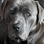 Tony Dunlap - @vinny.d55 - Instagram