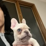 tony - @tony.dunlap.11 - Instagram