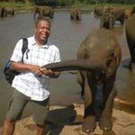 Tony Dwyer - @tonydwyer1 - Instagram