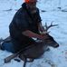 Tony Elling - Facebook