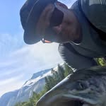 Tony Ellingsen - @tonyellingsen - Instagram