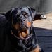 Tony Etheridge - Facebook