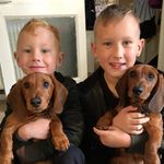 Tony Fellows - @savers_erdington_2021 - Instagram