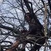 Tony Fellows - @tonyfellows0 - TikTok