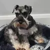 Tony Fitzpatrick - @tony.fitzpatrick4 - TikTok
