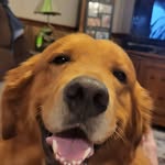 Tony Fore - @tonyfore - Instagram
