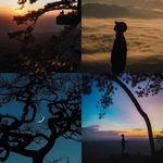 Tony Forest - @tony_forest - Instagram