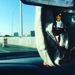 tony fraley - @18tfraley859613 - Instagram
