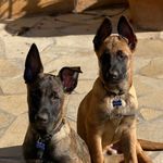 Milton and friedman - @miltonyfriedman - Instagram