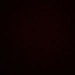 Tony Friedmann - @tony_friedmann1 - Instagram