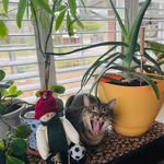 Tony Gago - @tony.gago.54 - Instagram