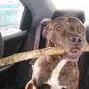 tonyagarten8 - @tonyagarten8 - TikTok