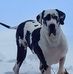 Tony Geiger - Facebook