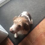 Tony Geiger Desloges - @deslogestonygeiger - Instagram