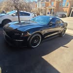 Tony Graci - @tonygraci - Instagram