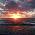 Tony Grasso - @gibbsongs - Instagram