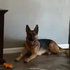 Tony Greer - @tony.greer58 - TikTok