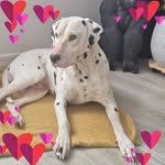 Tony Estelle Gressier - @gressier_tony - Instagram