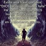 tony fit aradillas gress - @tonyfitaradillas - Instagram