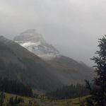 Tony Handy - @scoobie0233 - Instagram