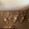 tonyhandy361 - @tonyhandy361 - TikTok