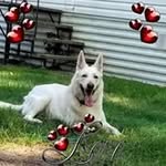 tony hanson - @hanson479 - Instagram