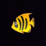 Tony Hare - @king_bobby_da_fish - Instagram