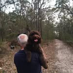 Tony Harman - @hynot - Instagram