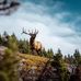 Tony Harrelson - Facebook