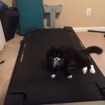 Tony - @tonyhavens1343 - Instagram
