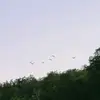 LGB_letsgobrandon - @tonyarhettinger - TikTok