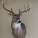 Tony Hounshell - Facebook