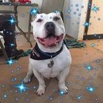 Tony Hyde - @tony.hyde.5 - Instagram