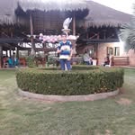 tony javier - @tonyjavier8593 - Instagram