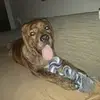 Thomas - @tonyjenn6 - TikTok