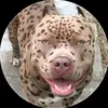 Tony joya - @tony.joya88 - TikTok
