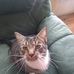 Tony Joyner - Facebook