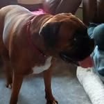 Tony Keenan - @tony.keenan.9693 - Instagram