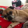 tonyakessinger440 - @tonyakessinger440 - TikTok